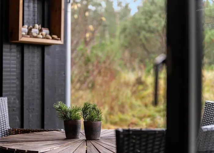 Bv433-blavand-ved-heksebjerg-8 * 布拉万德